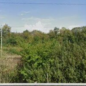 obrazek: avatar NIGHT CLUB DAGMARA