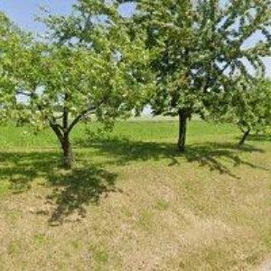 obrazek: avatar MOCEK LUBOMÍR