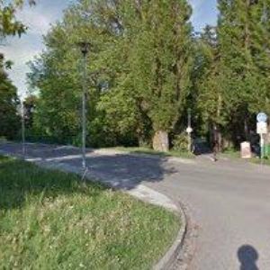 obrazek: avatar BINGO BAR