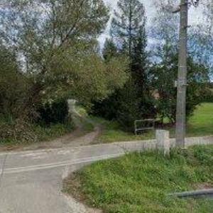 obrazek: avatar TAXI TURNOV MAHONY