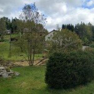 obrazek: avatar PENZION AKROM