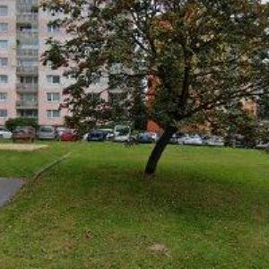 obrazek: avatar DUŽDA RADEK-MOBIL TAXI