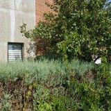 TAXI LUKEŠ OTROKOVICE