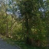 TVRZNÍK JAN-AUTODOPRAVA