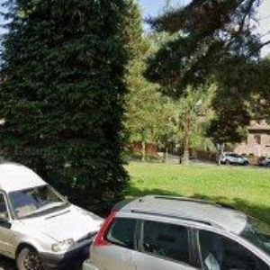 obrazek: avatar TOPASO TRANS, s.r.o.