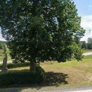 obrazek: avatar WAKESTONE LOGISTICS s.r.o.