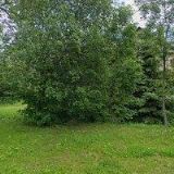 KAFKA EMIL-AUTODOPRAVA