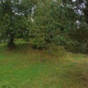 obrazek: avatar STIZ s.r.o.