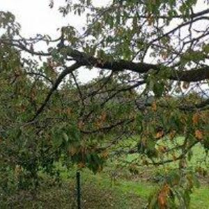 obrazek: avatar MADOKA s.r.o.