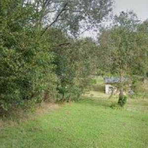 obrazek: avatar STATEK, z. s.