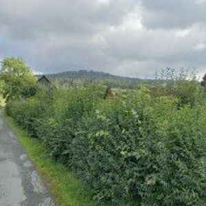 obrazek: avatar EEPR s.r.o.