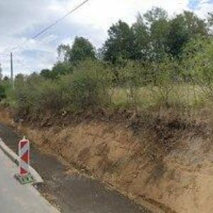 obrazek: avatar SUCHOPÝR z.ú.