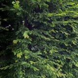 DAP-PROSEČ, spol. s r.o.