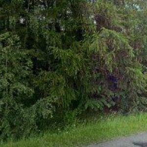 obrazek: avatar ECOWASTEENERGY s.r.o.