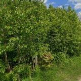 EKOCENTRUM SKŘÍTEK POLIČKA o.s.