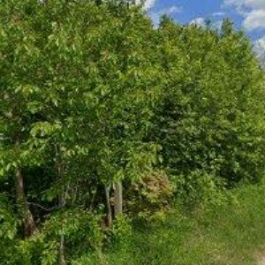 obrazek: avatar EKOCENTRUM SKŘÍTEK POLIČKA o.s.