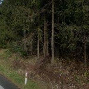 obrazek: avatar DM BAGRY