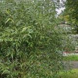 DIMATEX CS, spol. s r.o.