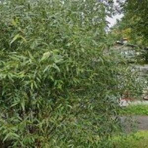 obrazek: avatar DIMATEX CS, spol. s r.o.