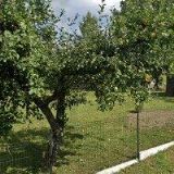 DANÍČEK ROMAN-ZEMNÍ PRÁCE