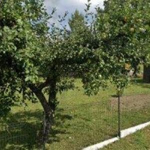 obrazek: avatar DANÍČEK ROMAN-ZEMNÍ PRÁCE