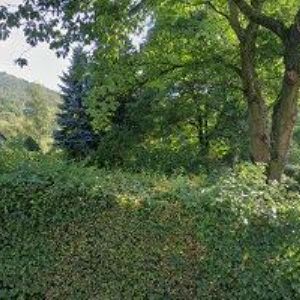 obrazek: avatar BŘEZINA PETR-ZÁMEČNICKÉ A SVÁŘEČSKÉ PRÁCE