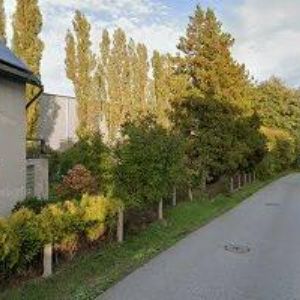 obrazek: avatar CARGOSPRINT s.r.o.