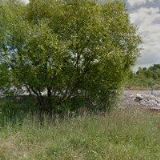 ŽÍTEK OTTO-ELEKTRO-OSVĚTLENÍ ELOS