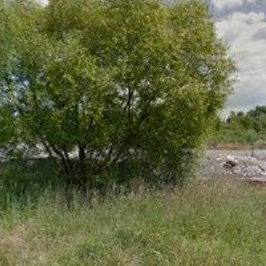 obrazek: avatar ŽÍTEK OTTO-ELEKTRO-OSVĚTLENÍ ELOS