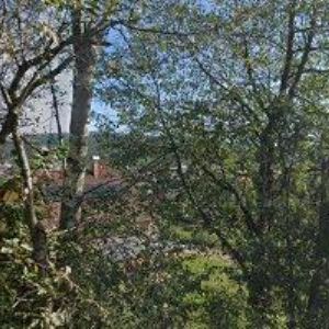 obrazek: avatar VODHÁNĚL PAVEL