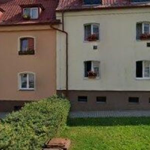 obrazek: avatar JÜNGLING RAÚL