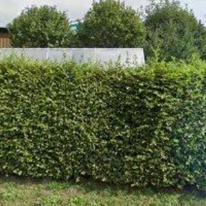 obrazek: avatar TRUHLÁŘSTVÍ U PROKOPA s.r.o.