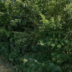 obrazek: avatar VI-PORŠ s.r.o.