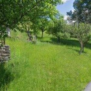 obrazek: avatar TROJAN KAREL-AUTODOPRAVA