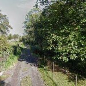 obrazek: avatar PLOTY STANISLAV