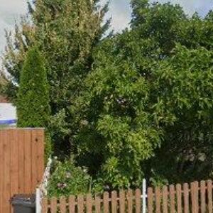 obrazek: avatar DMGO s.r.o.