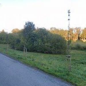 obrazek: avatar TAXUS, spol. s r.o.