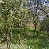 NĚMEČEK TOMÁŠ-AUTODOPRAVA A STĚHOVÁNÍ ZLÍN, VSETÍN