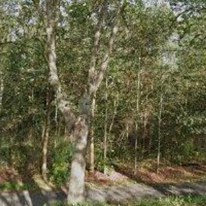 obrazek: avatar BARVÍK RADIM