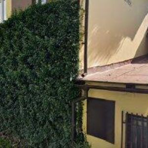 obrazek: avatar STÁVEK MILOSLAV Ing.