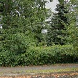 obrazek: avatar STAVEBNINY JURČÍK