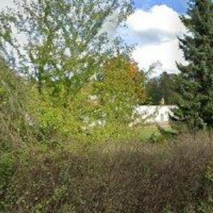 obrazek: avatar BOBEK PETR