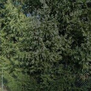 obrazek: avatar VÁŠA spol. s r.o.