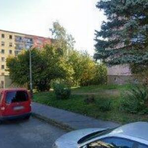 obrazek: avatar TRAXING