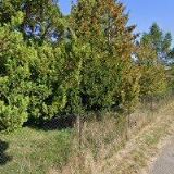 ZÁSILKOVÉ KNIHKUPECTVÍ SKLEP