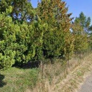 obrazek: avatar ZÁSILKOVÉ KNIHKUPECTVÍ SKLEP