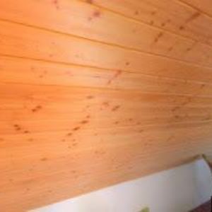 obrazek: avatar PALARČÍK PAVEL