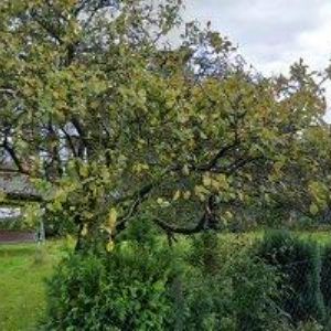 obrazek: avatar ŠŤÁSTKA MARTIN-AUTODOPRAVA