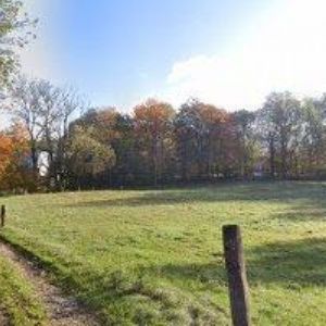 obrazek: avatar SILNÝ HUBERT