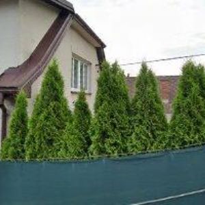 obrazek: avatar MENTL STANISLAV